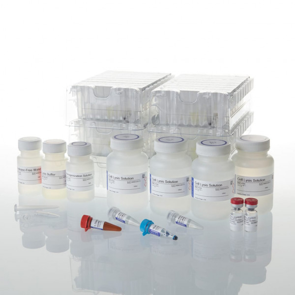 Maxwell RSC simplyRNA Blood Kit