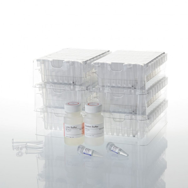Maxwell RSC Blood DNA Kit