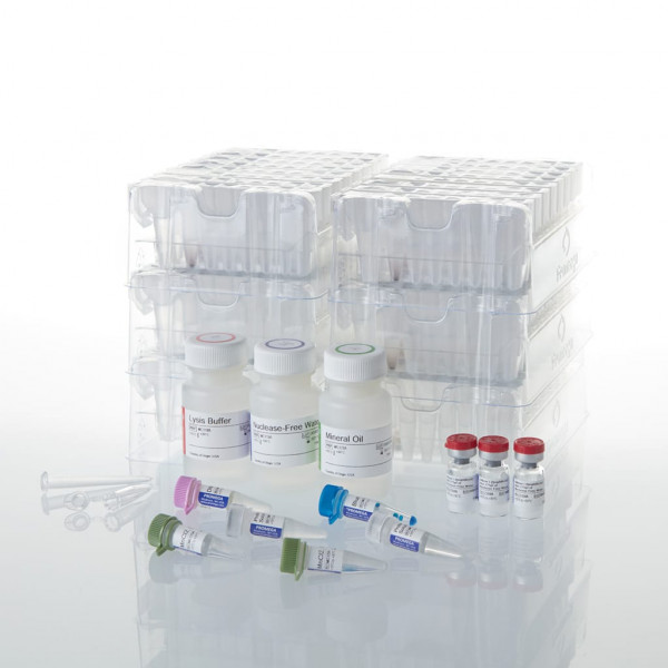 Maxwell RSC RNA FFPE Kit