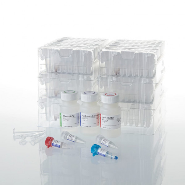 Maxwell RSC DNA FFPE Kit