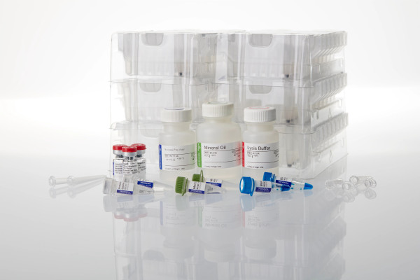 Maxwell CSC XtractAll FFPE DNA/RNA Kit
