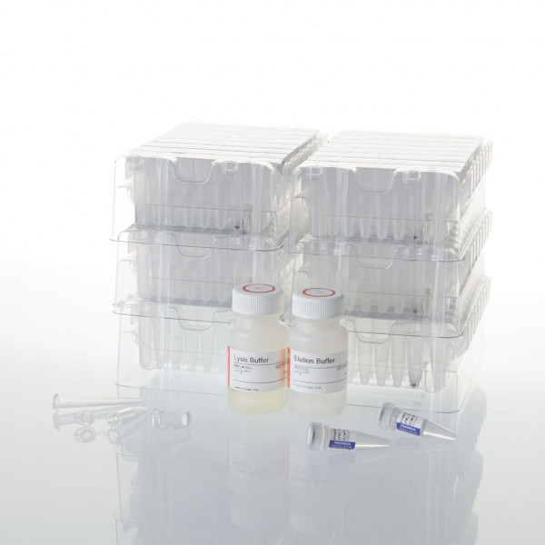 Maxwell RSC Buccal Swab DNA Kit