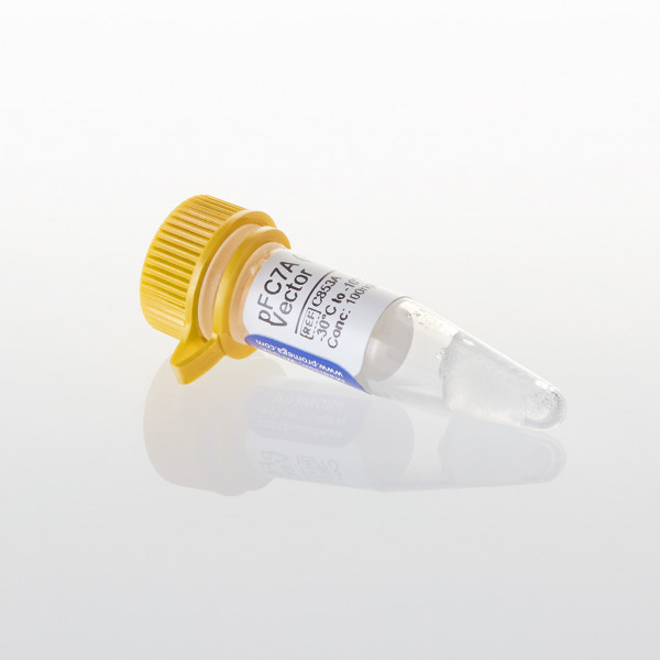 pFC7A (HQ) Flexi® Vector, 20ug