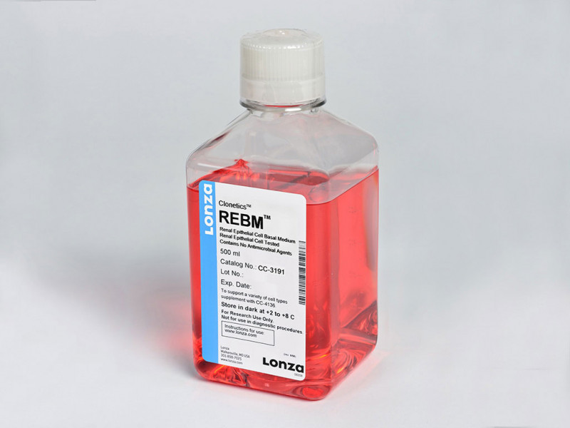 REBM Basal Medium 500 ml