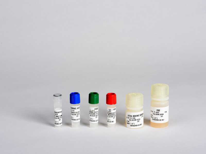 EGM SingleQuot Kit Suppl&Growth Factors