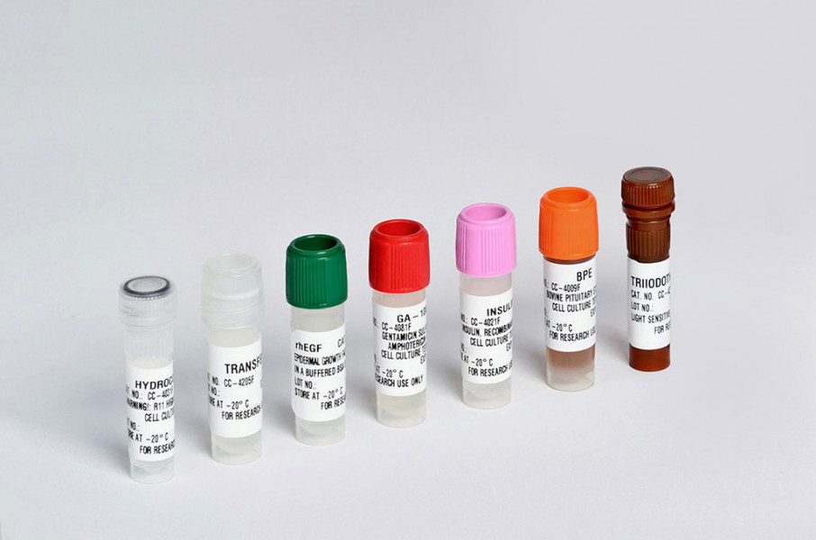 KGM-2 SingleQuot Kit Suppl&Growth Facto