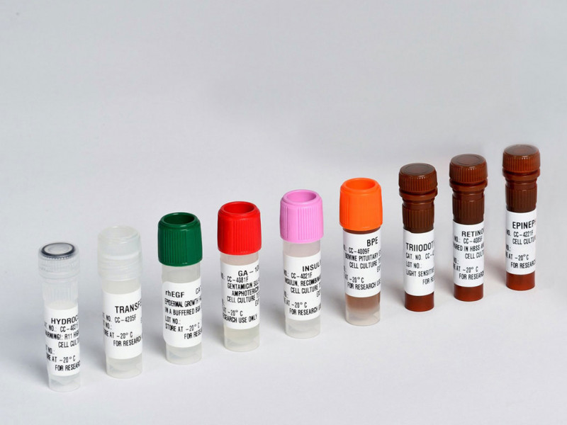 BEGM SingleQuot Kit Suppl&Growth Factor