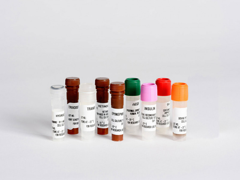 PrEGM SingleQuot Kit Suppl&Growth Facto