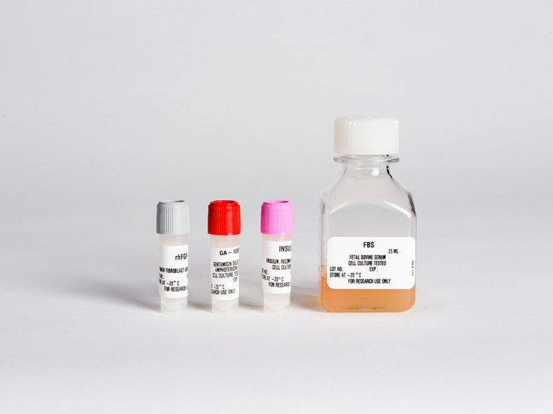 SCGM SingleQuot Kit Suppl&Growth Factor