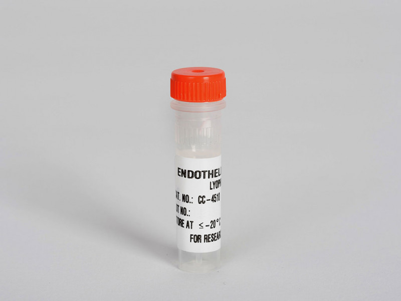 Endothelin 3 (ET3) Lyophilized