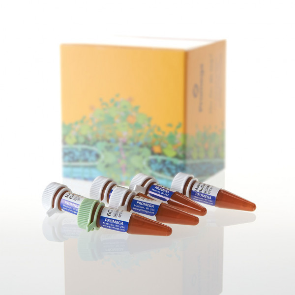 PowerPlex 6C Matrix Standard