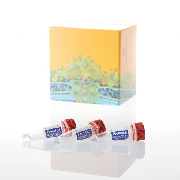 HeLaScribe Nuclear Extract, Gel Shift Assay Grade