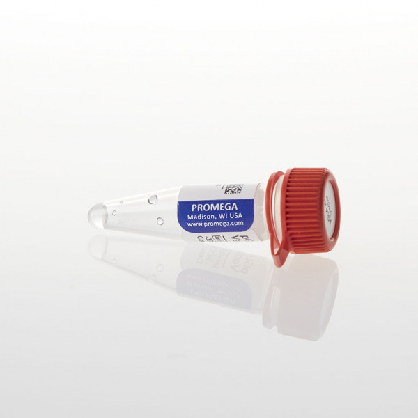 pGL4.37[luc2P/ARE/Hygro] Vector