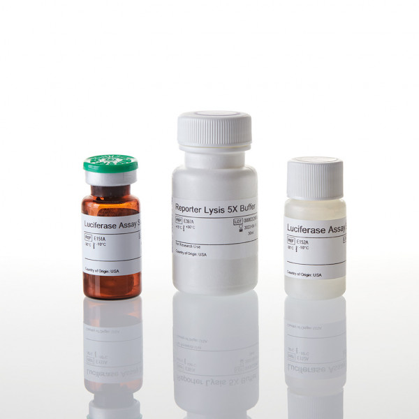 Luciferase Assay System with Reporter Lysis Buffer