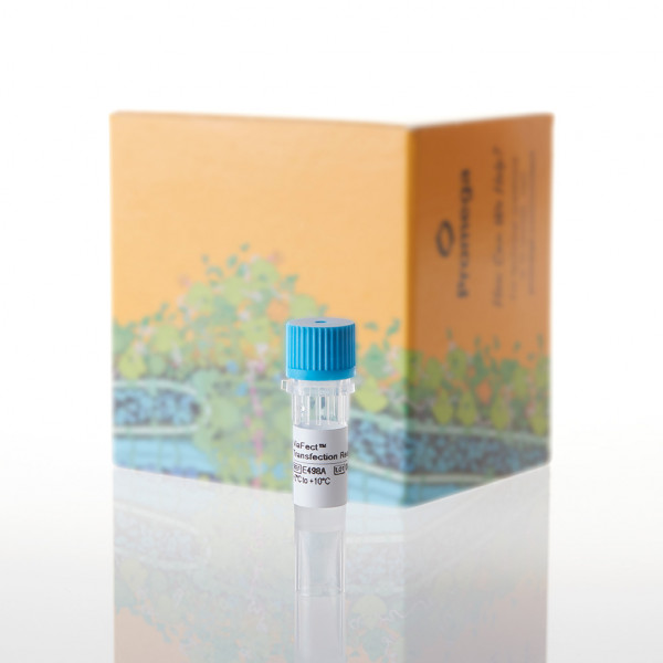 ViaFect Transfection Reagent