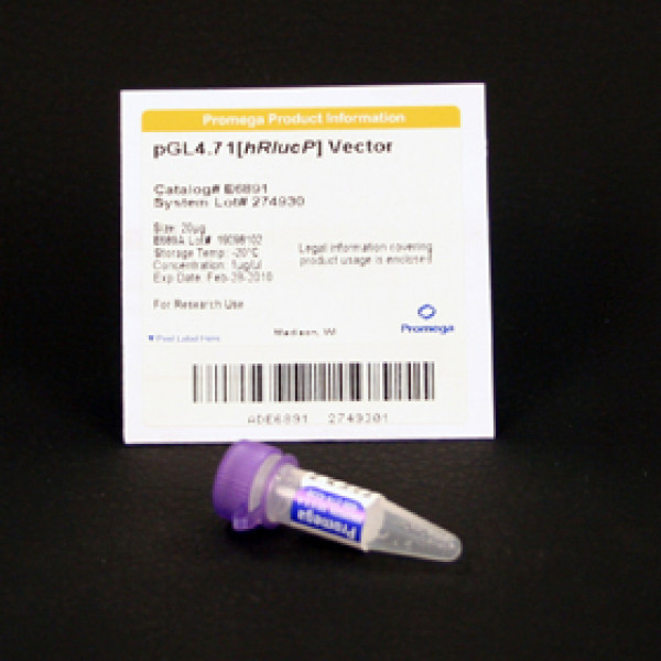 pGL4.71[hRlucP] Vector