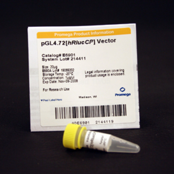 pGL4.72[hRlucCP] Vector