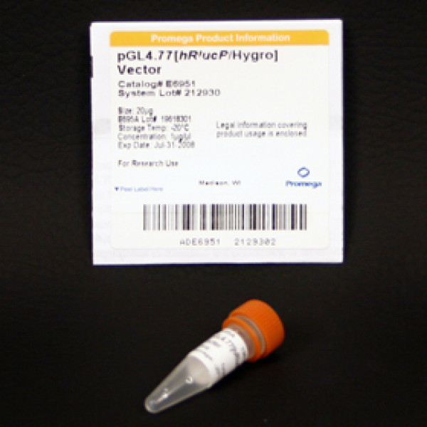 pGL4.77[hRlucP/Hygro] Vector