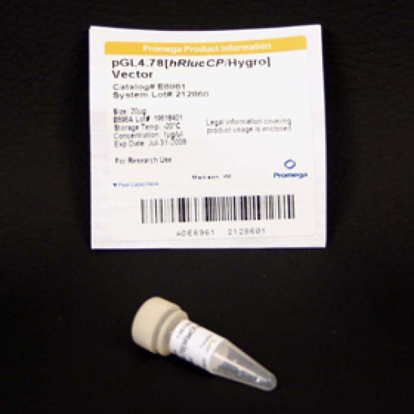 pGL4.78[hRlucCP/Hygro] Vector