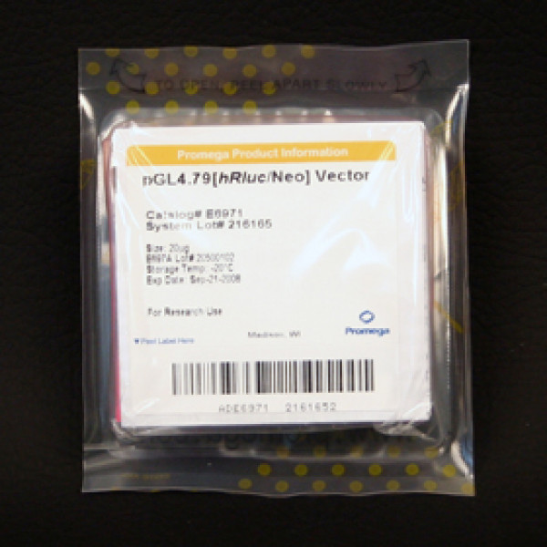 pGL4.79[hRluc/Neo] Vector