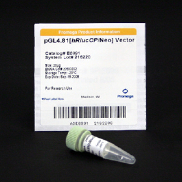 pGL4.81[hRlucCP/Neo] Vector