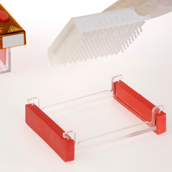 Midi 96 Comb Block 1.5mm 8 Well MC +2Mk