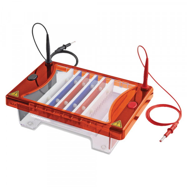 Clarit-E Choice Gel Tank 15x10cm UV Tray