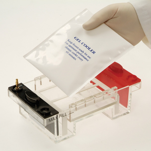 Cool Pack and platform for Choice