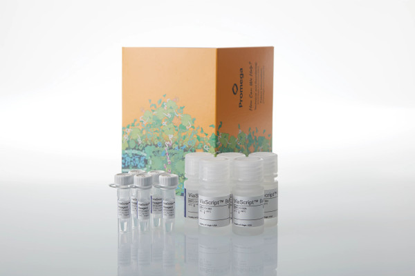 ViaScript mRNA Transfection Reagent