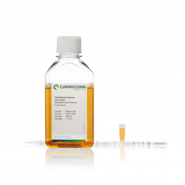 Fetal Bovine Serum, Collected in South America, IgG Depleted