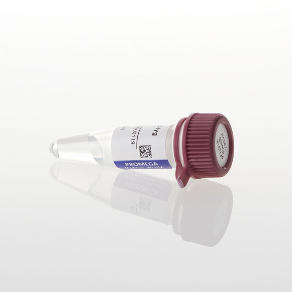 pFN23A HaloTag CMVd2 Flexi Vector