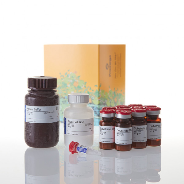 CytoTox-ONE Homogeneous Membrane Integrity Assay