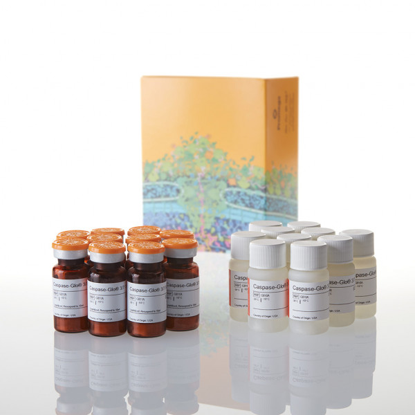 Caspase-Glo 3/7 Assay