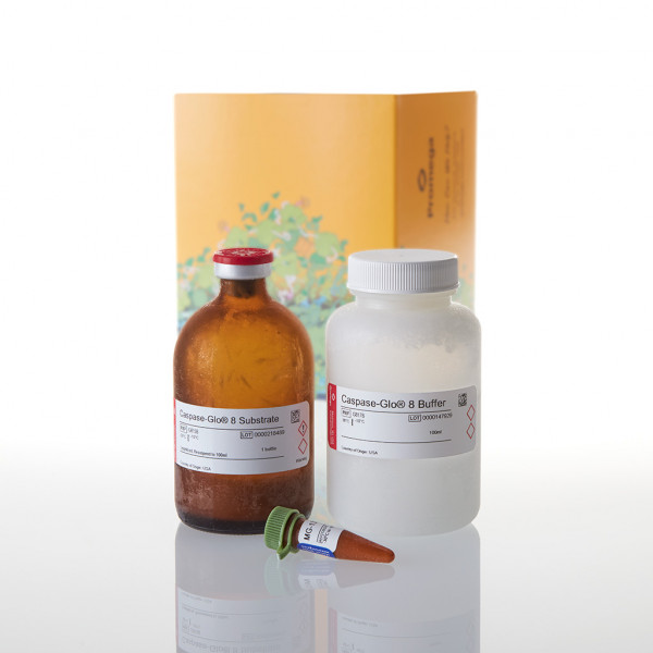 Caspase-Glo 8 Assay