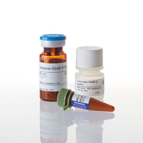 Caspase-Glo 9 Assay