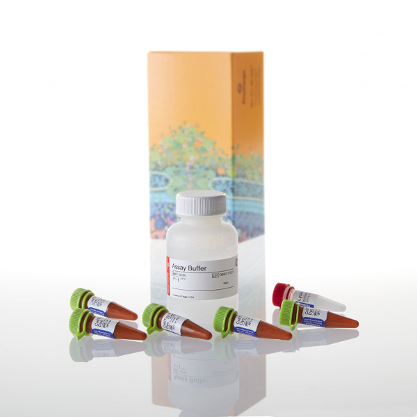 CellTox Green Cytotoxicity Assay