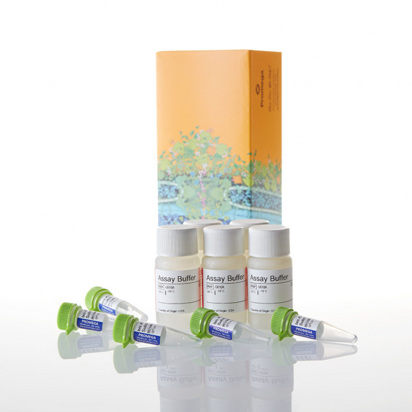 CytoTox-Fluor Cytotoxicity Assay