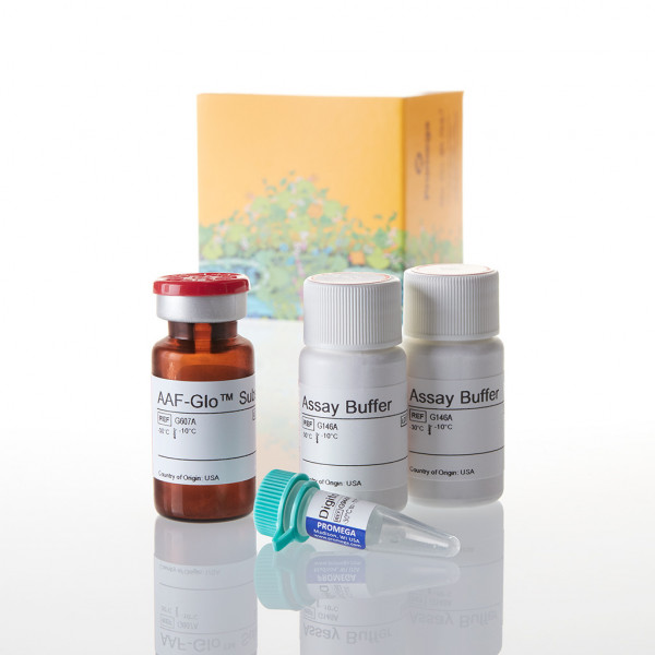 CytoTox-Glo Cytotoxicity Assay