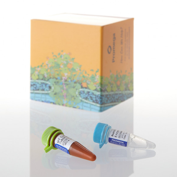 RealTime-Glo MT Cell Viability Assay