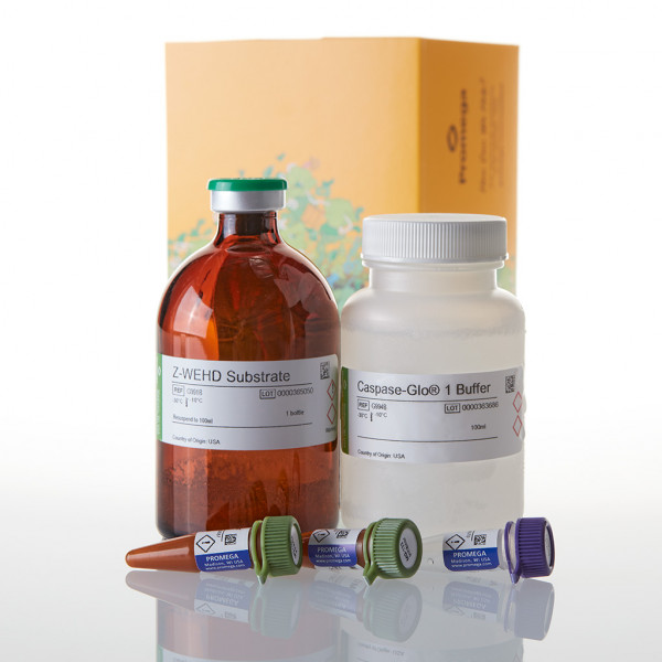 Caspase-Glo® 1 Inflammasome Assay, 100ml