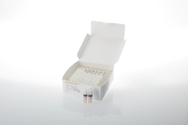 Raji (LDH-HiBiT) Cell Bank