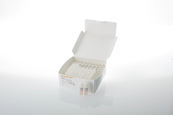 Raji (LDH-HiBiT) CD19-KO Cell Bank