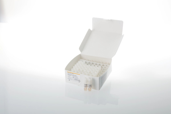 Raji (LDH-HiBiT) CD19/20-KO Cell Bank