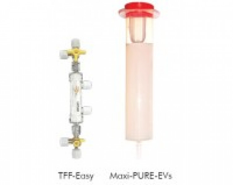 maxiPURE-EVs PLUS: Size exclusion chromatography column and TFF concentrator