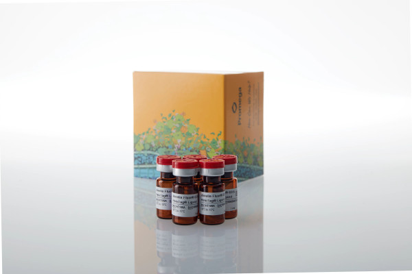 Janelia Fluor 635i HaloTag Ligand