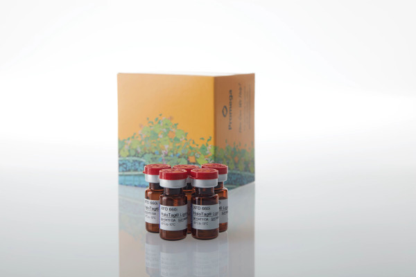 XFD 660i HaloTag Ligand