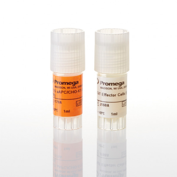 TIGIT/CD155 Blockade Bioassay (CPM)
