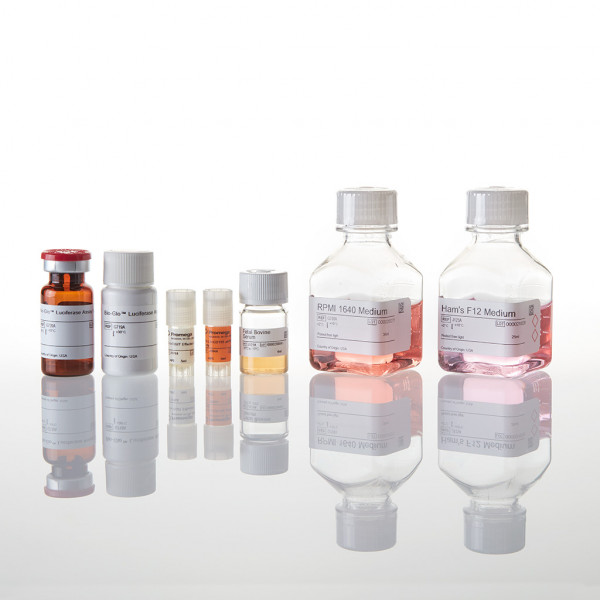 PD-1 + TIGIT Combination Bioassay