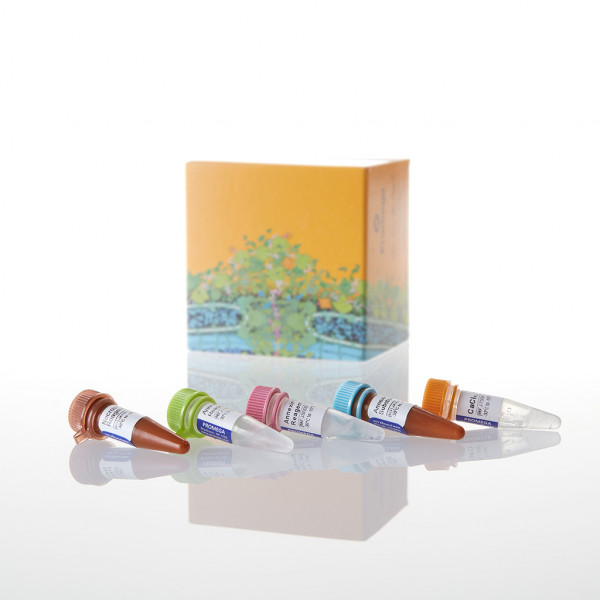 RealTime-Glo Annexin V Apoptosis and Necrosis Assay