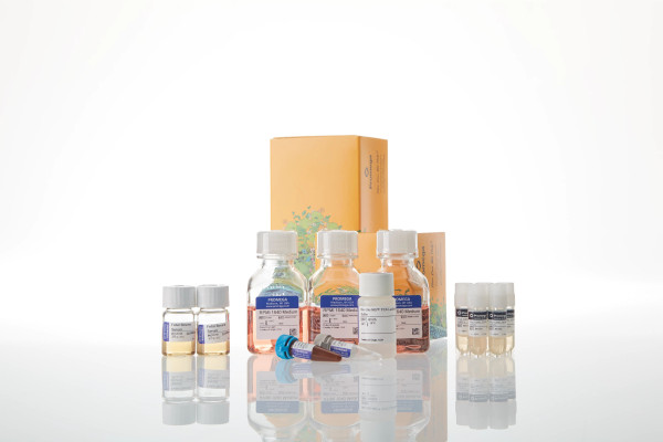 Raji (LDH-HiBiT) CD19-KO TCK Bioassay 5X